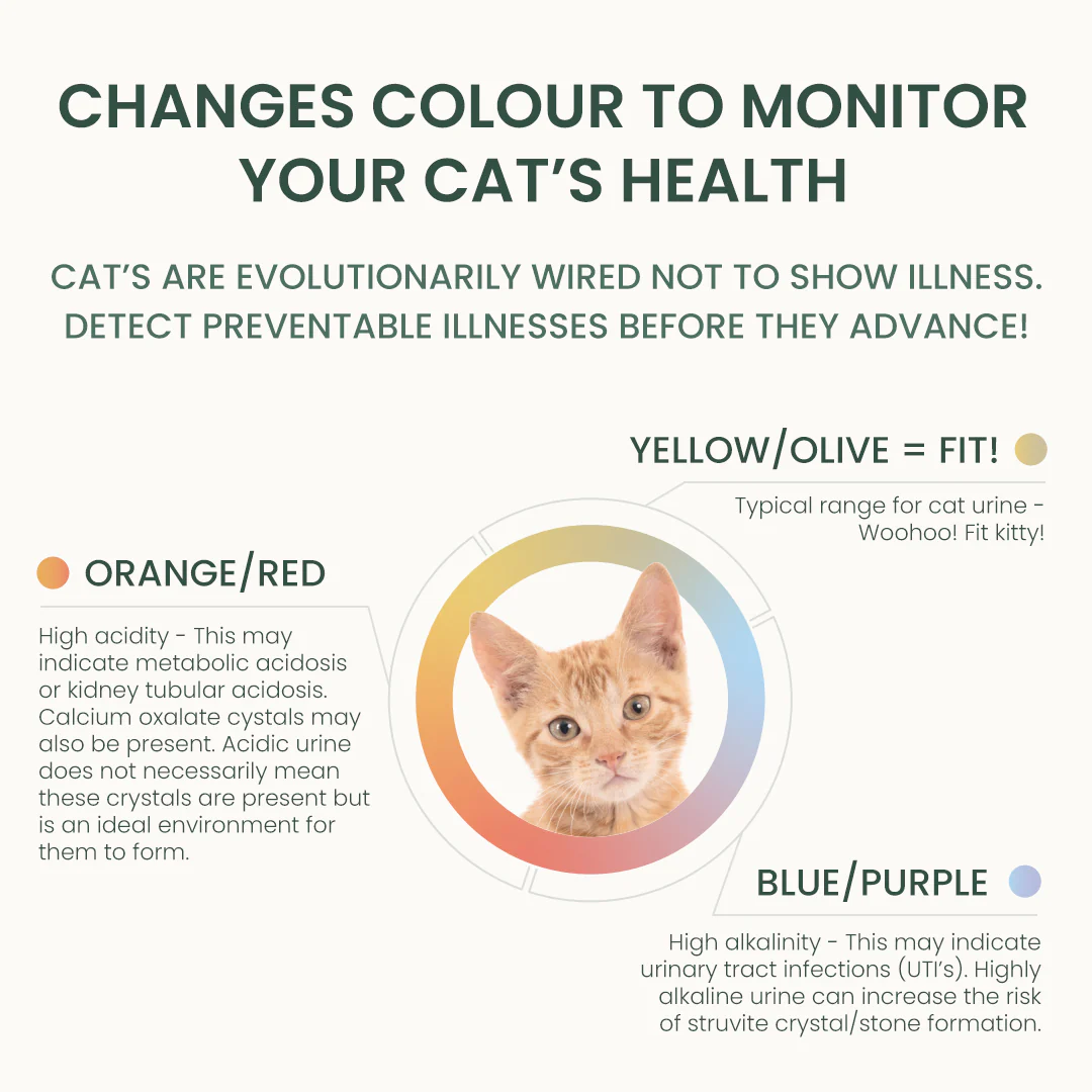 3 month supply - 5 Cats - Image 7